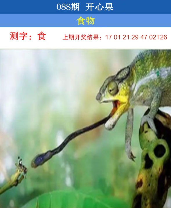 088期开心果[图]