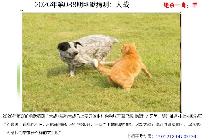 088期幽默猜测[图]